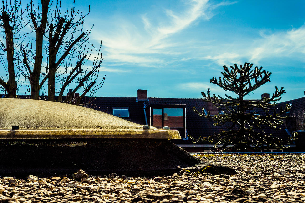 RooftopDesert