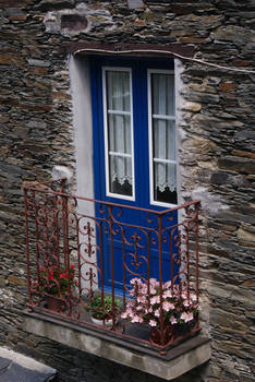 blue door