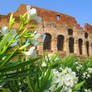 Colosseum dressed in White