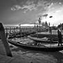 venice _ 3