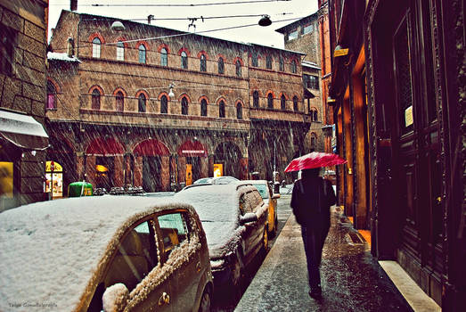 bologna_7