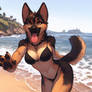 Bikini Sheph  ~ Beach Girls 15 ~