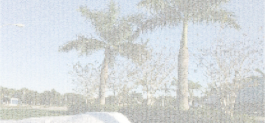 Snow Ascii ASCII Snow Day in South FL by BlackyKyurem on DeviantArt