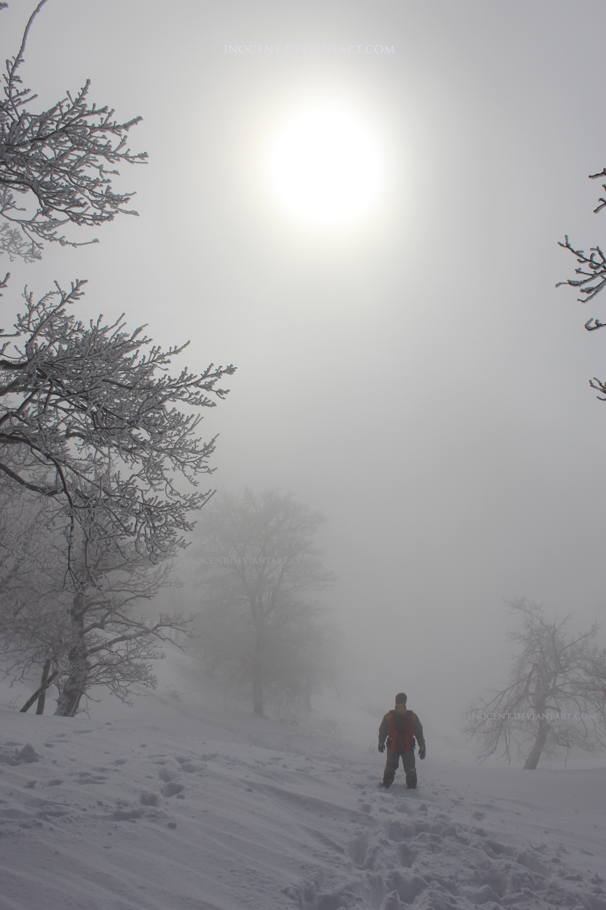 man in front of Nature