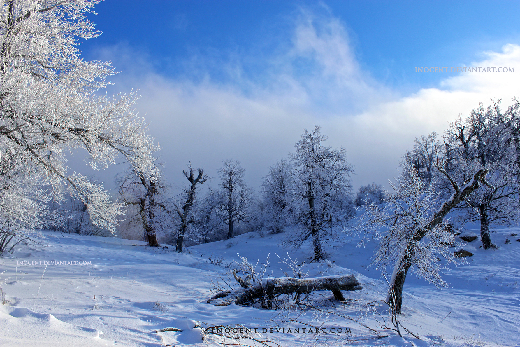 frozen whispers of solitude