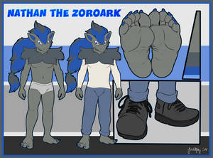 My Zoroark form Ref Sheet by JWolfsky