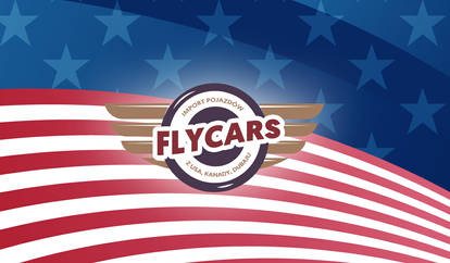 USA Cars import logo