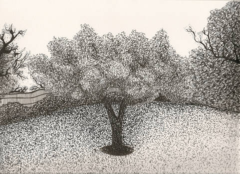 Pen and Ink trees