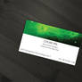 Business Card design for Czilike Pal