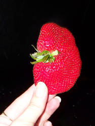 Huge strawberry 1