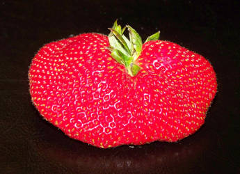 Huge Strawberry 2