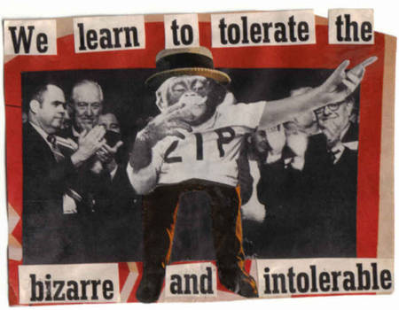 We Learn to Tolerate