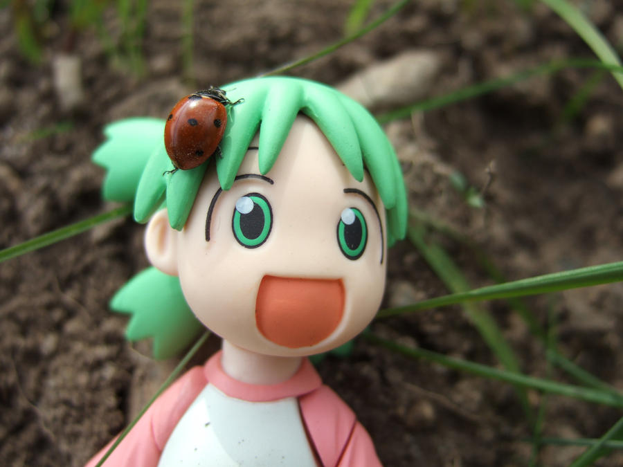 Yotsuba to Tentomushi