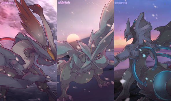 Explore The Best ホワイトキュレム Art Deviantart Explore The Best ホワイトキュレム Art Deviantart