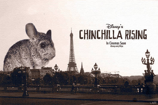 Chinchilla Rising