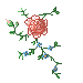 The Drape Flowers by wolf-hat The Drape Flowers by wolf-hat