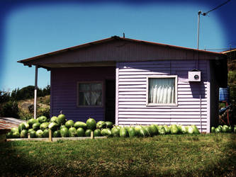 Pink watermelon house