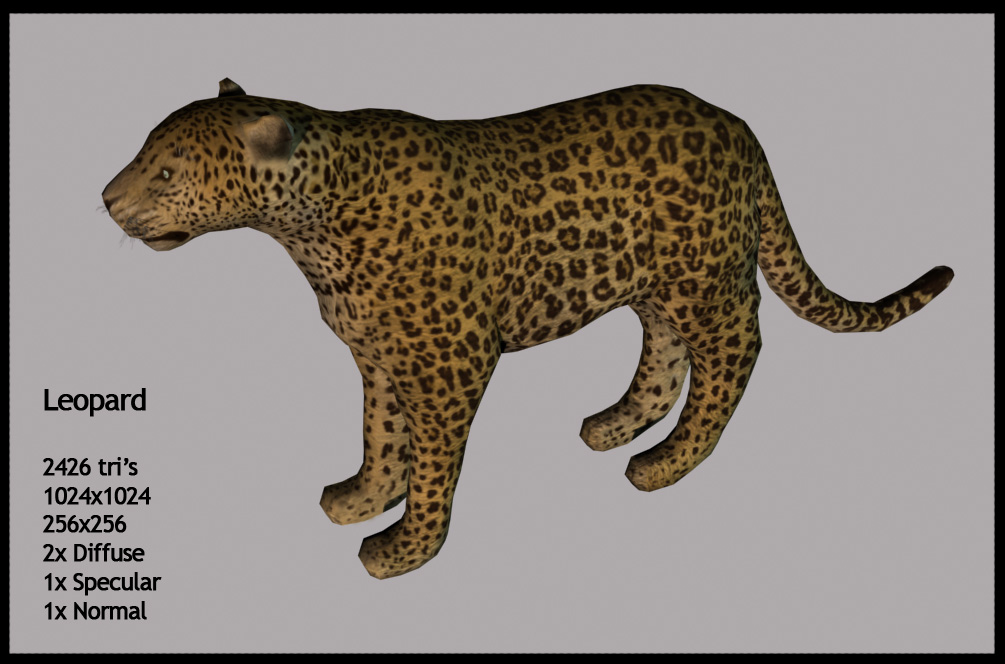 Leopard re-textured