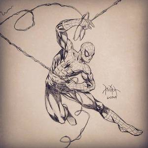 Spiderman Sketch