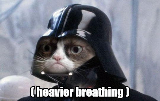 Vadercat