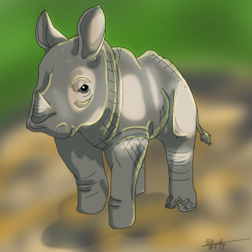 Rhino Sketch