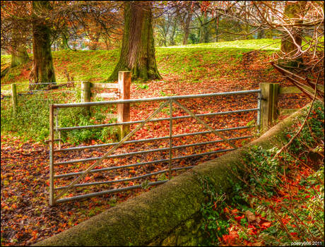 Autumn Gate