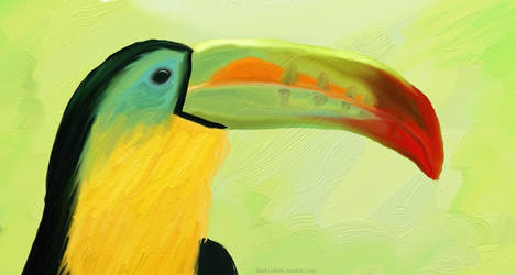 Toucan Doodle