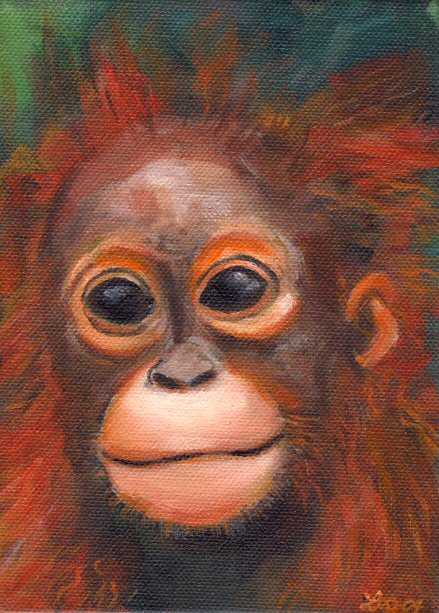 Orangutan for Beth