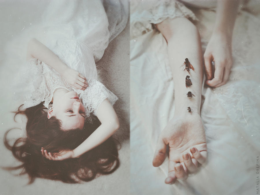 Insomnia's insects by NataliaDrepina