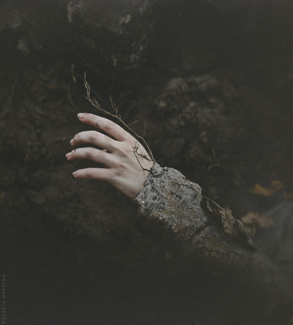 Buried Autumn by NataliaDrepina