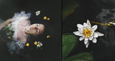 Diptych: Water Flower