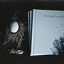 Artbook The fragile wounded souls