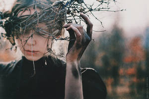 Crown by NataliaDrepina Crown by NataliaDrepina
