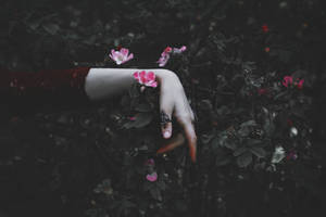 Thorns by NataliaDrepina Thorns by NataliaDrepina
