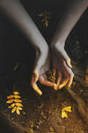 Golden touch by NataliaDrepina