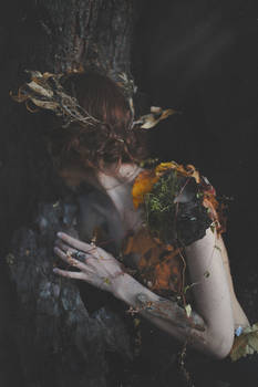 Shy Autumn Dryad