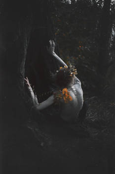 The birth of a Dryad