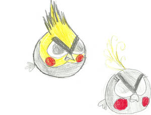 Moje Dwie papugi jako Angry Birds