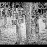 Life and Death: The Same Substance
