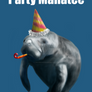 Party Manatee