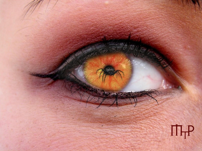 Spider View Strnth Spider View by MtPvonExplodingArt on DeviantArt