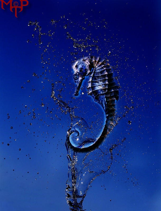 Living Experiment by MtPvonExplodingArt on DeviantArt