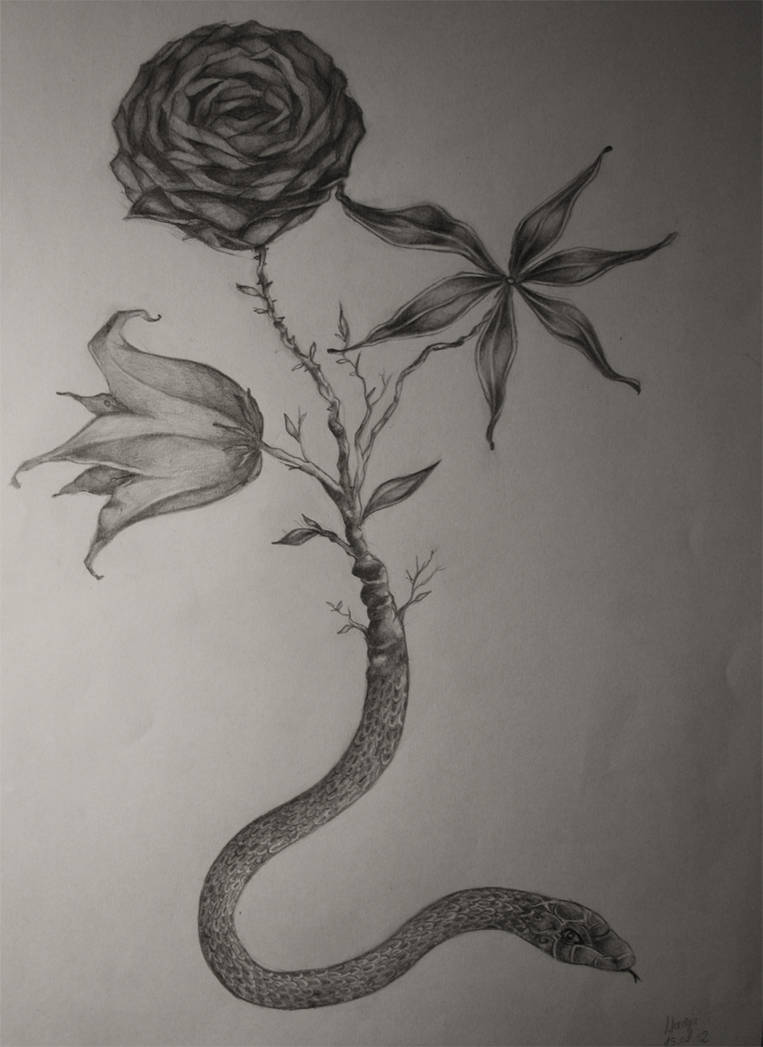 Die Metamorphose der Rose by Nadily on DeviantArt