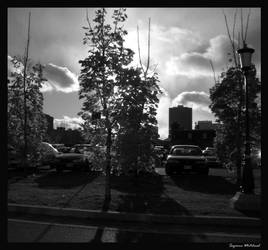 Tree and Clouds