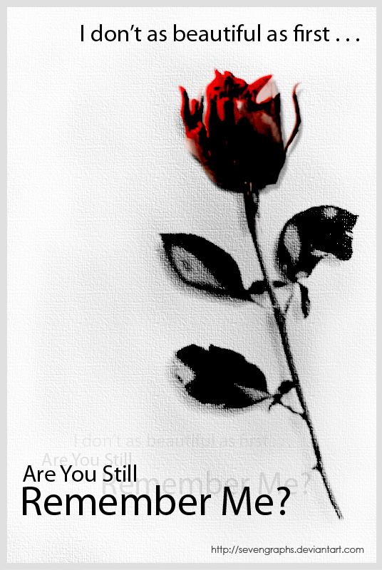 Are You Still Remember Me?