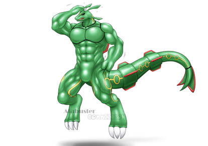 Rayquaza Suit - TF 2/2