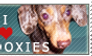 Doxie Stamp