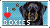 Doxie Stamp 2