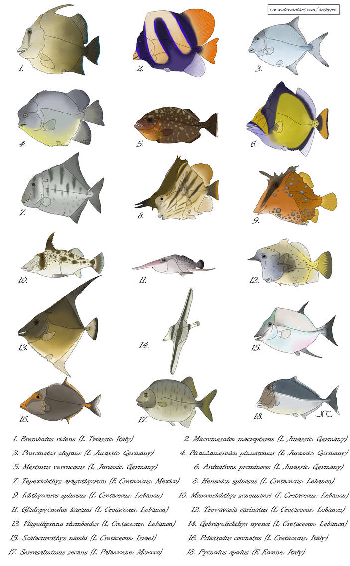 Weird fish 1 - Pycnodontiforms by artbyjrc on DeviantArt