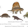 Rise of the Sailbacks - Sphenacodontids
